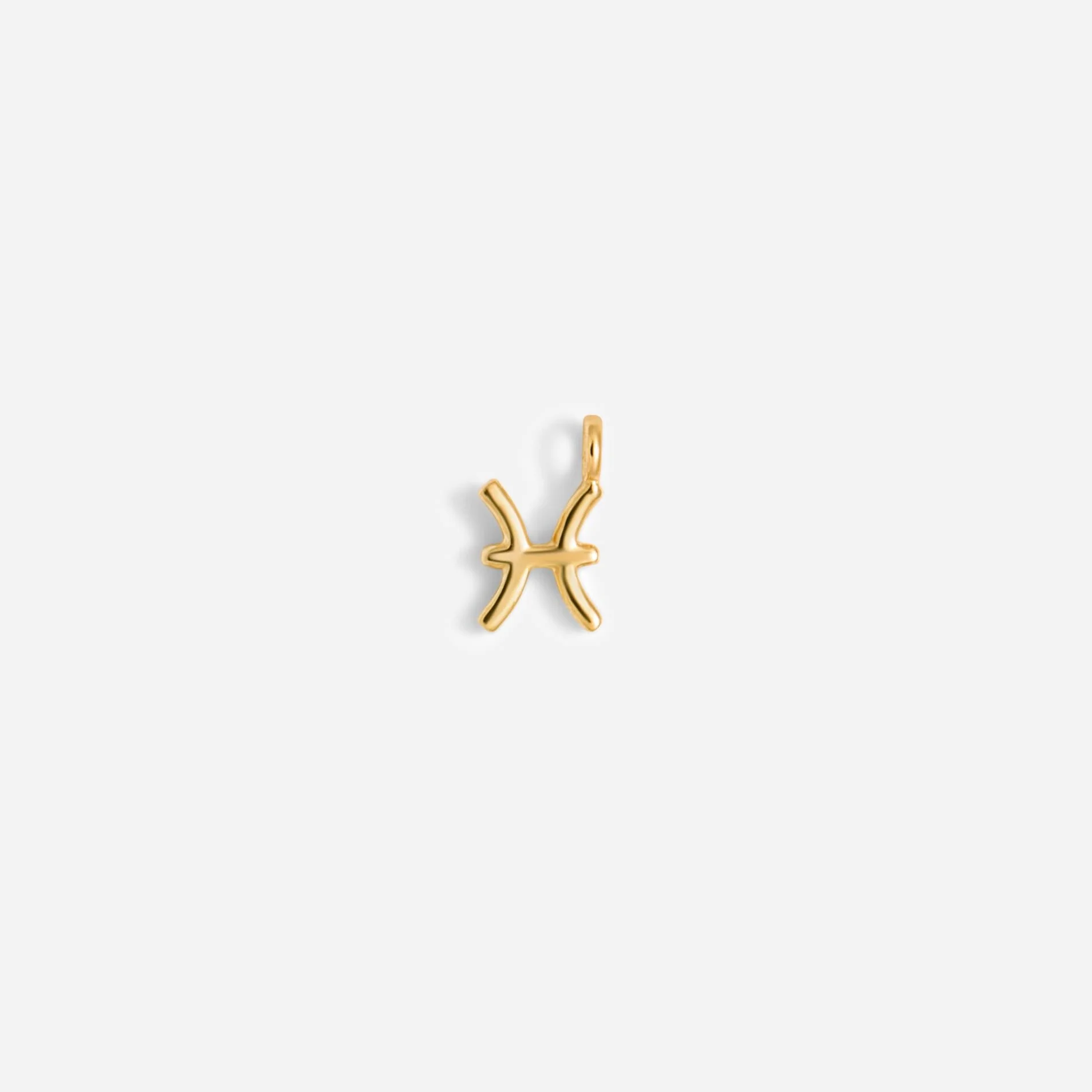 תליון מזלות זהב 14K - Image 20